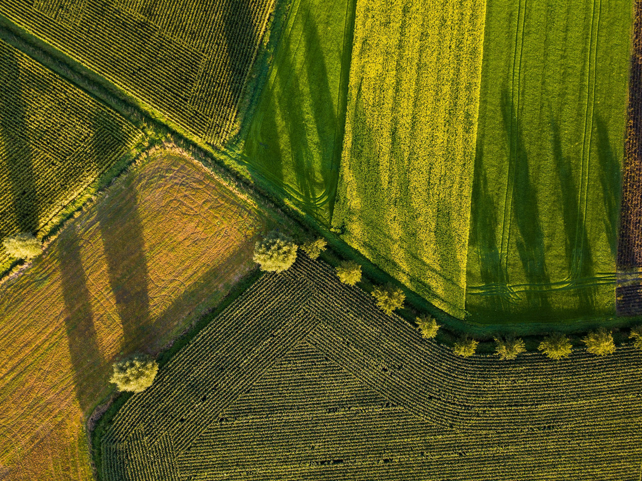 Belgium